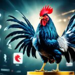 Tips Menang Main Sabung Ayam Online